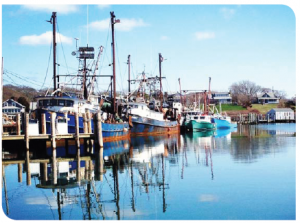 Menemsha Harbor Marthas Vineyard