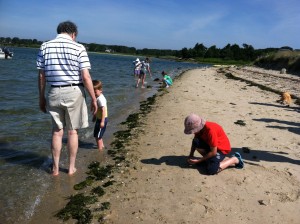 Children and their parents on the hunt for mollusks and island treasures at Senegekontacket Pond.