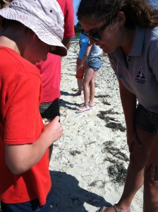 9 year old Jack Henri showing off is mollusk find.