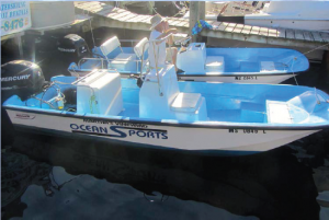 Rent a whaler, MV Ocean Sports