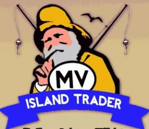 mvitlogo