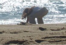 Activity Profile: Sea for the Soul