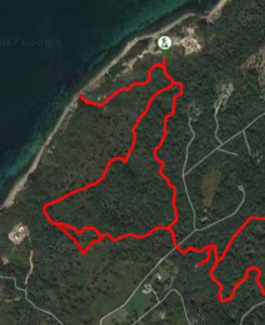 Menemsha Hills trails