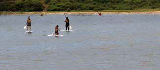 Vineyard paddleboarding