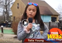 Kids Corner: Island Cove Adventures Mini Golf