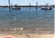 Anonymous Diner: Savory, Quick Bites @ The Quarterdeck Restaurant Lobster BLT