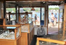 Hot Shopping: Dockside Jewelers