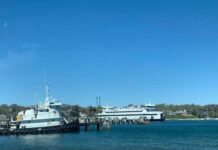 Vineyard Living: Martha’s Vineyard Welcomes Summer of 2021