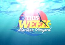 Restaurant Profile: The Seafood Shanty in Edgartown