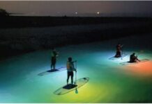 Activity Profile: Happy Paddling at Island Spirit Kayak