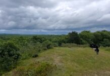 Activity Profile: Take a Hike: Waskosim’s Rock Reservation