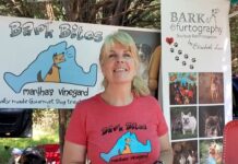 Vineyard Living: Fair Weather Days