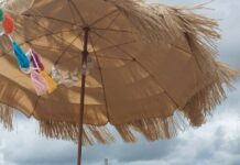 Hot Shopping: Martha’s Vineyard Picnic