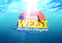 This Week On Marthas Vineyard: Midnight Taco/Nightlife