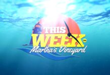 This Week On Marthas Vinyard: Island Alpaca