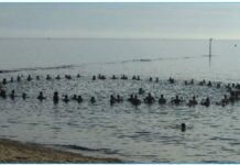 The Inkwell: An Emblem of Pride in Oak Bluffs