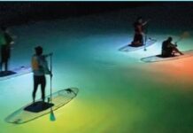 Glow Paddleboarding: Illuminate the Waters of Martha’s Vineyard with Island Spirit Kayak