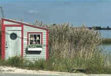 Labor Day and Beyond: Discover the Magic of Fall on Martha’s Vineyard